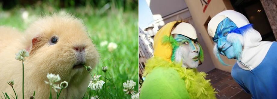 2. Innsbrucker Tierfabelrätselpfad 2. Innsbrucker Tierfabelrätselpfad